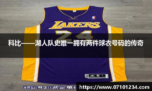 星空综合体育官网